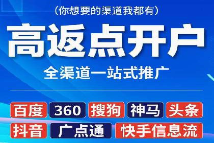 案例分享：百度竞价广告投放策略与效果